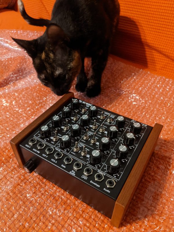 Tortie cat sniffing at a Doepfer Dark Energy, a small analog synthesizer module.