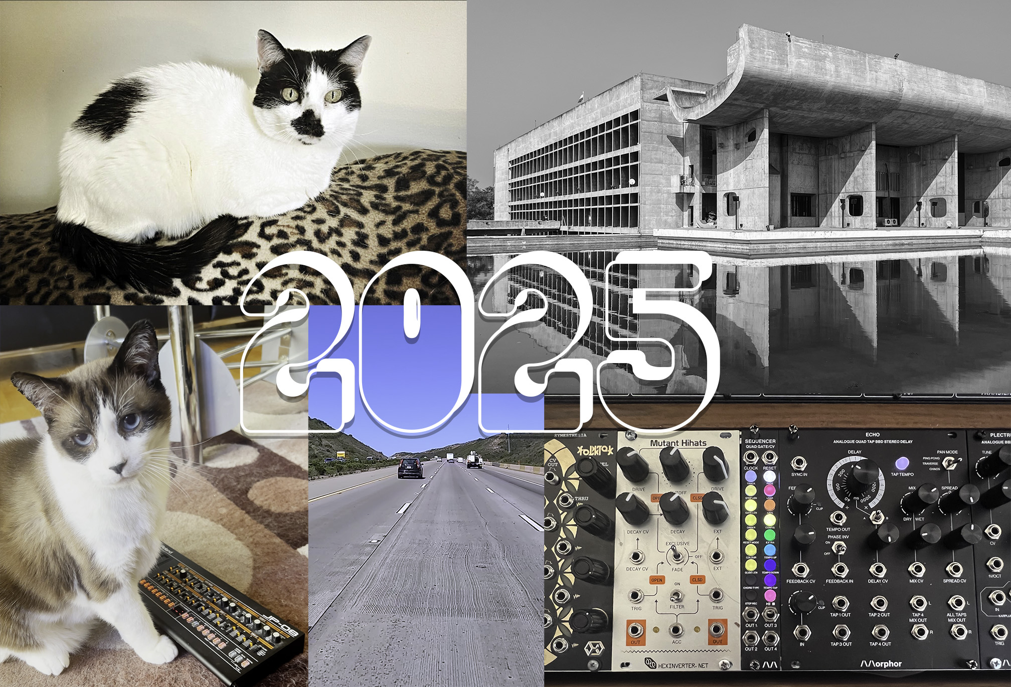 Farewell to 2025: Brightness from Darkness