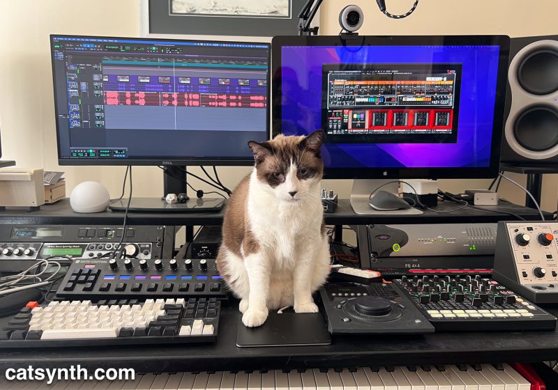 Brown-and-white cat standing on a studio desk with lots of audio equipment and two computer monitors.