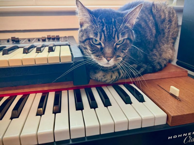 Tabby cat sitting on a Hohner Clavinet.  Next to the cat is a smaller Roland analog synthesizer, also sitting on the Clavinet.