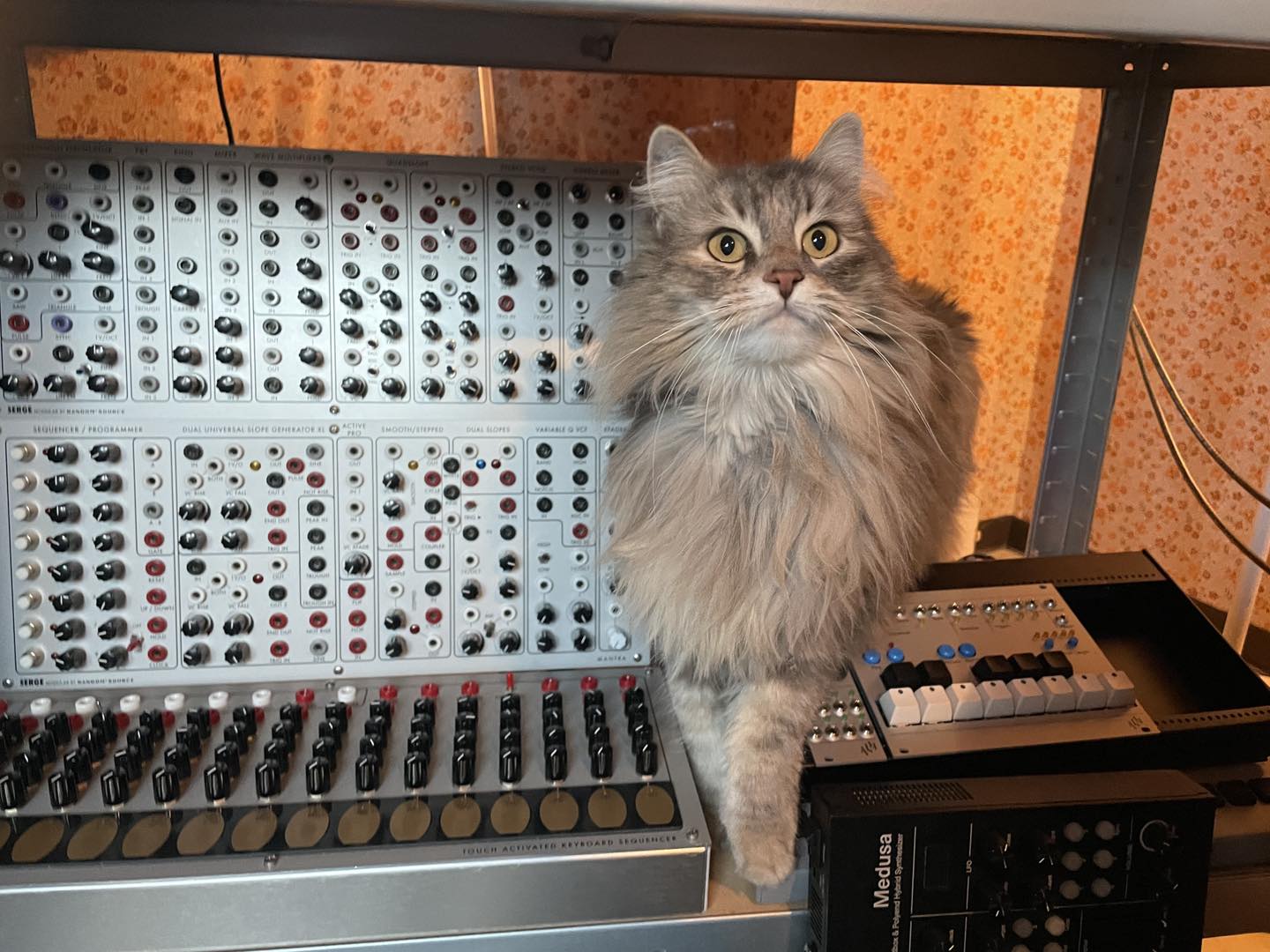 Pirouette and Serge Modular