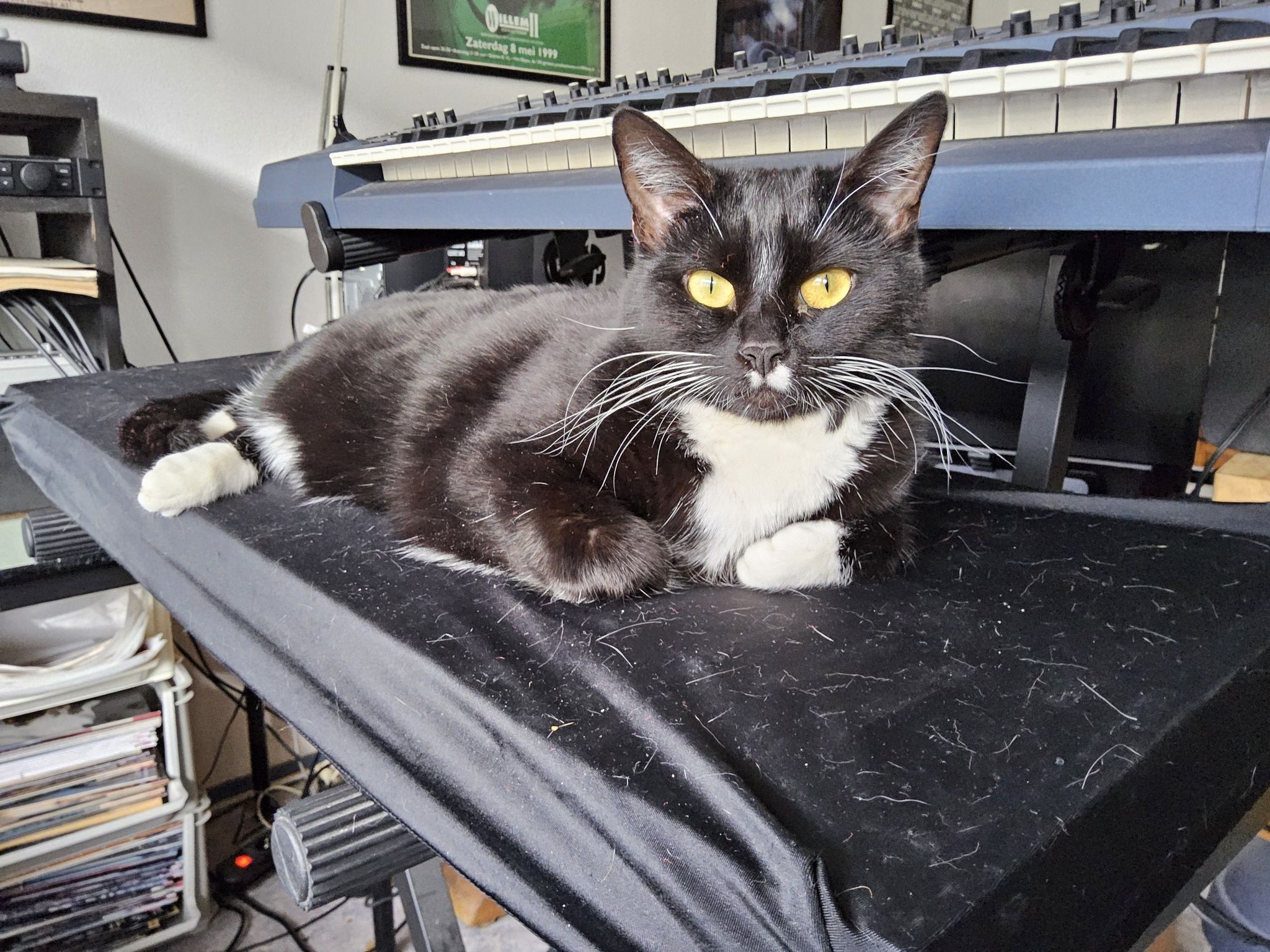 Suzy, Ensoniq ESQ-8, Roland JP-8000