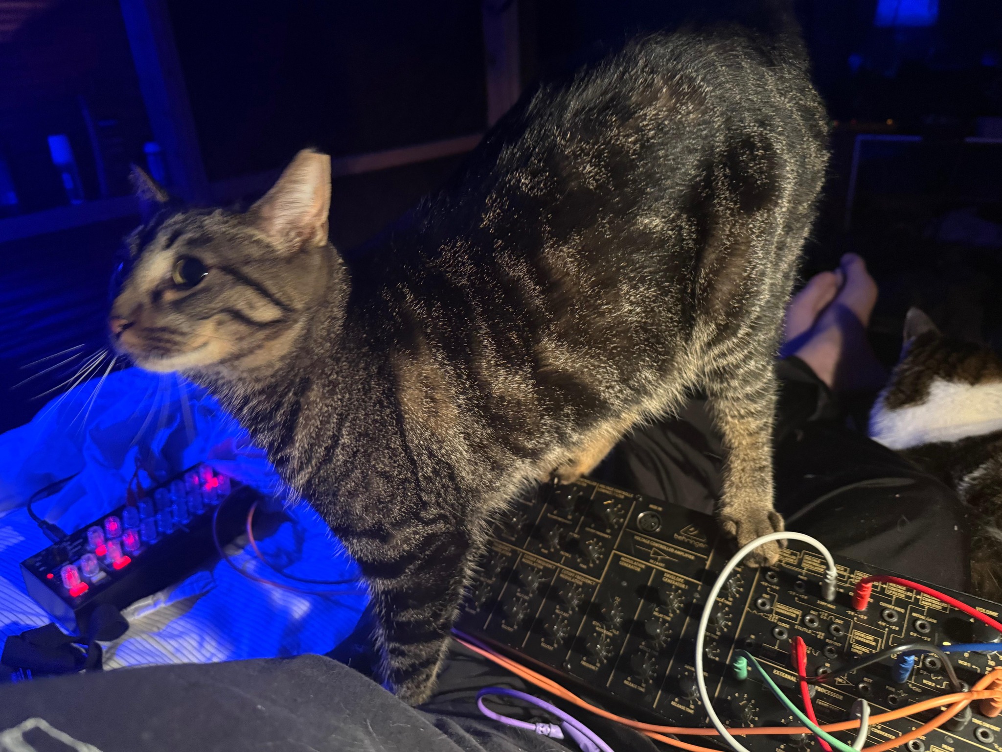 TurbQ with Behringer K2 & Korg SQ-1