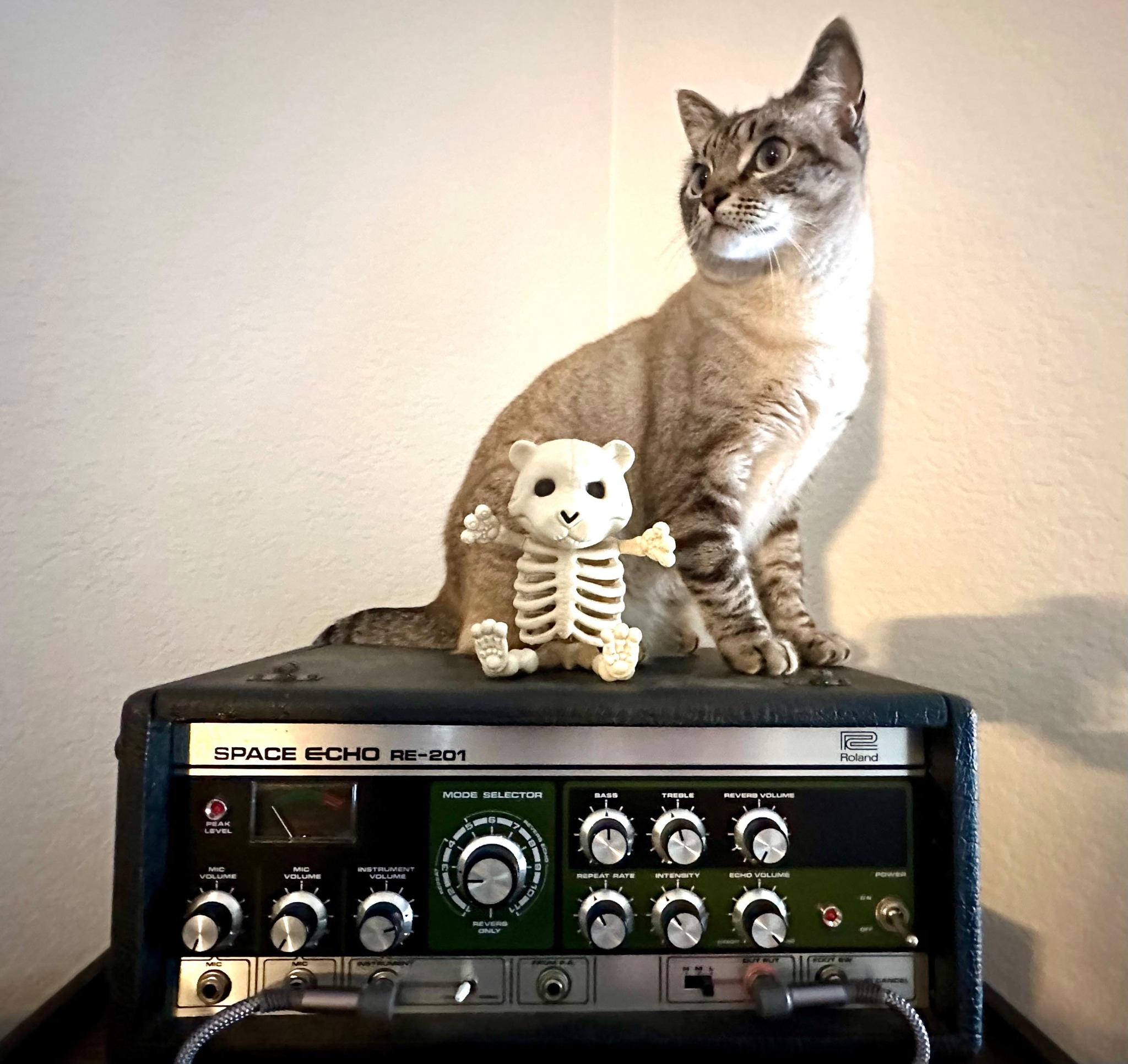 February 2026 - CatSynth