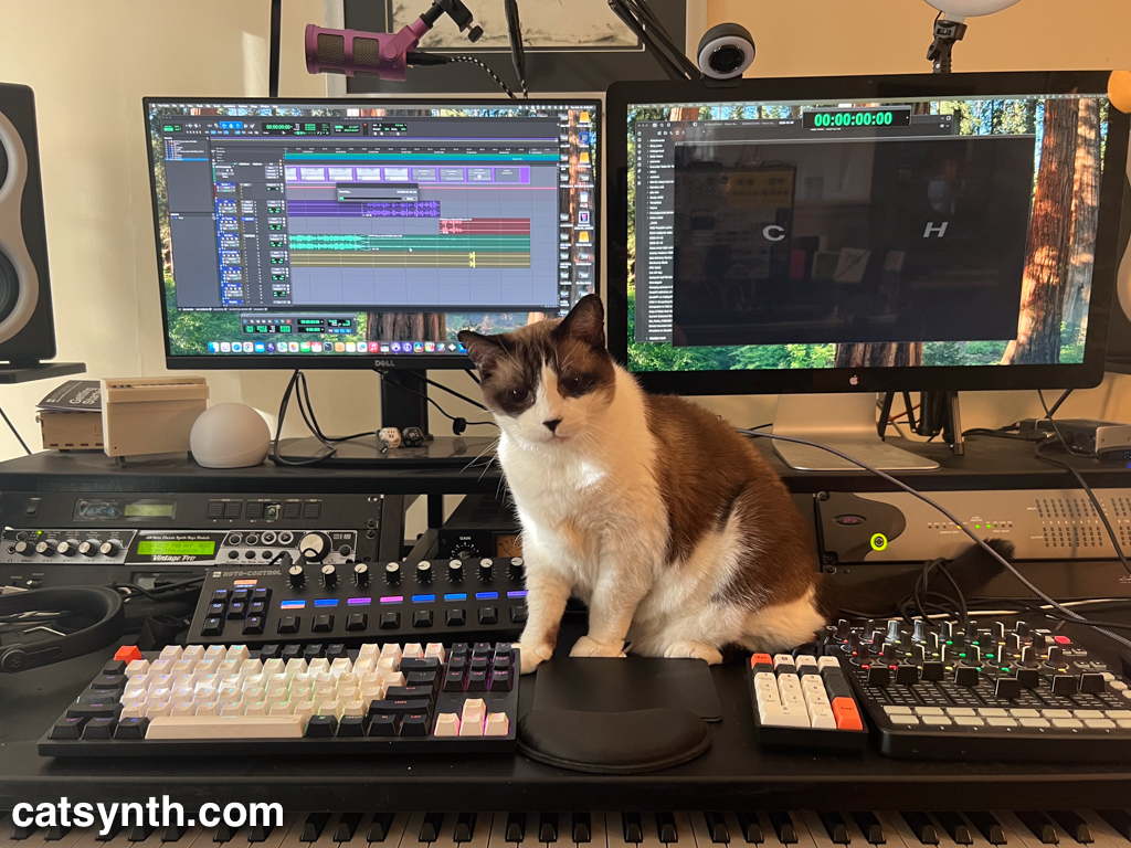 Big Merp helps with SH-MAX video