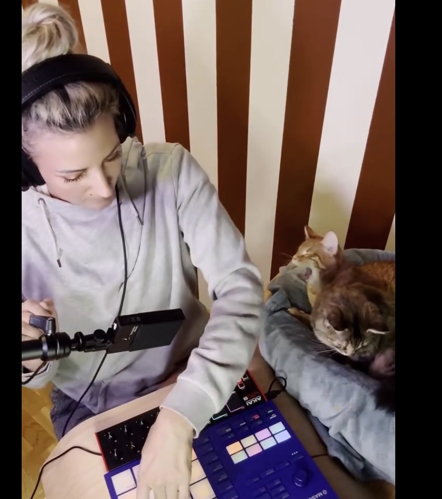  Anekkomusic Kitty purr-resynth 