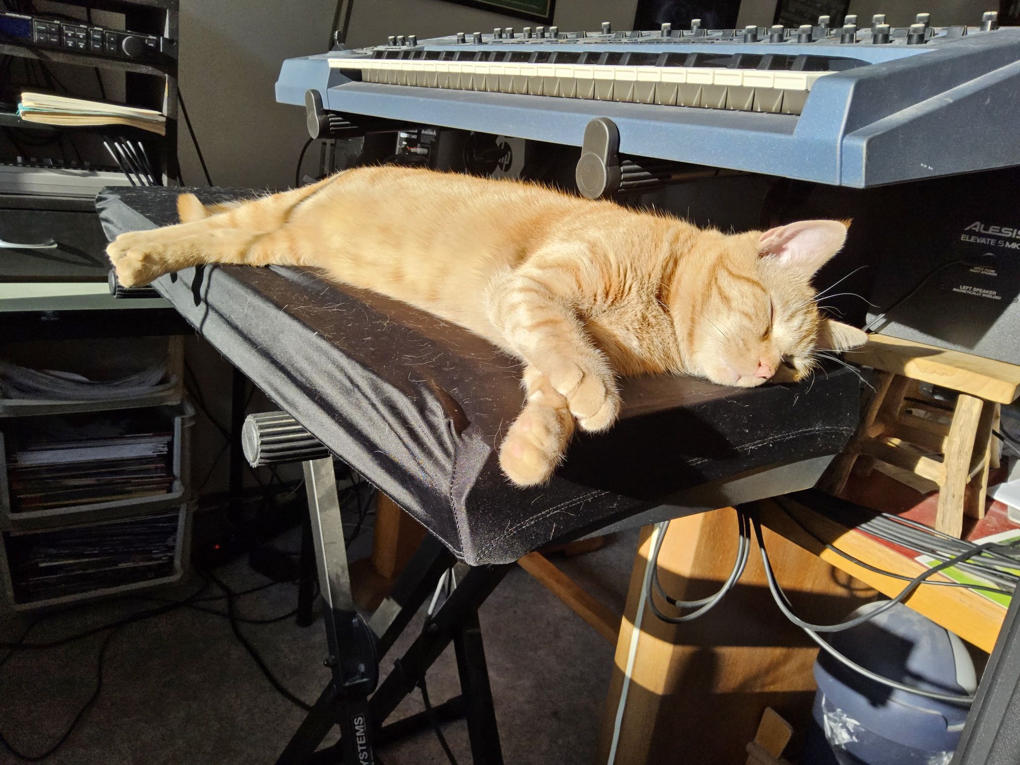 Buddy, Roland JP-8000, Ensonq ESQ-1