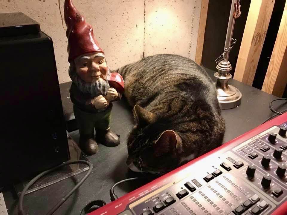 Monty relaxing in the studio