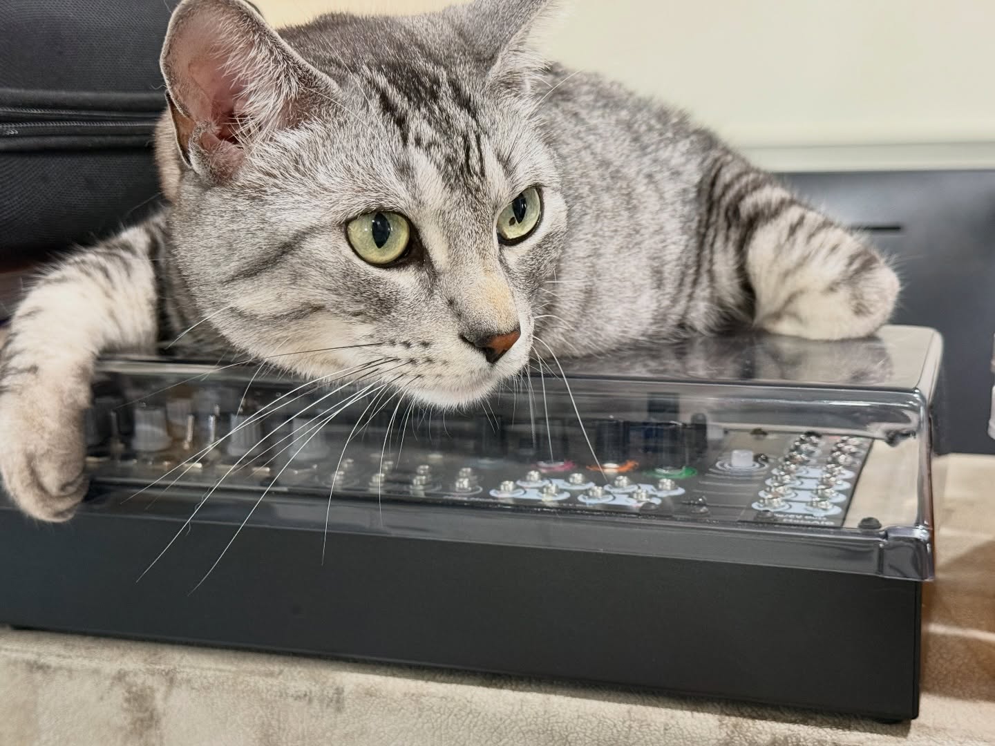 Haku, 4ms MetaModule, Doepfer A-111-5 Voice