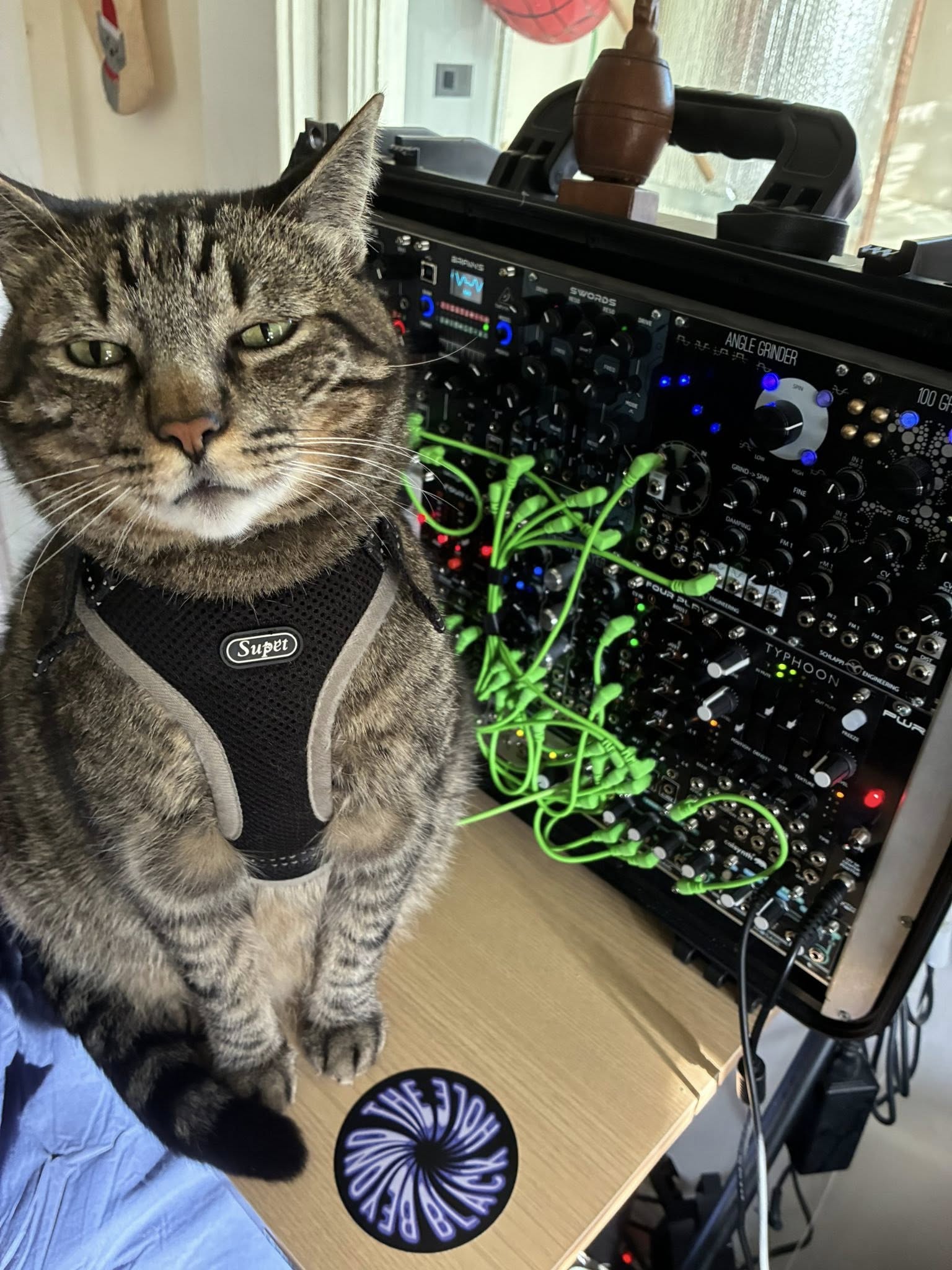 Gerty and modular (Shlappi, Behringer, Calsynth)