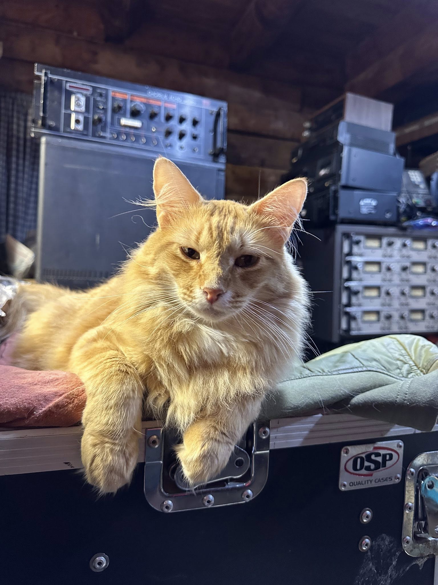 Halmet, Roland Chorus Echo, MCI JH-110 Tape System