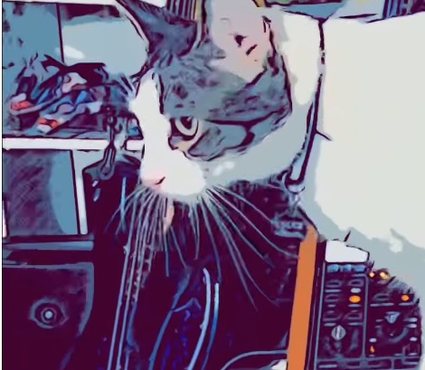 Bruce and Moog Subsequent 37