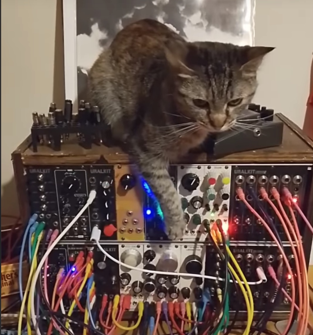 DJ Pöpö, Modular, and Behringer RD-8