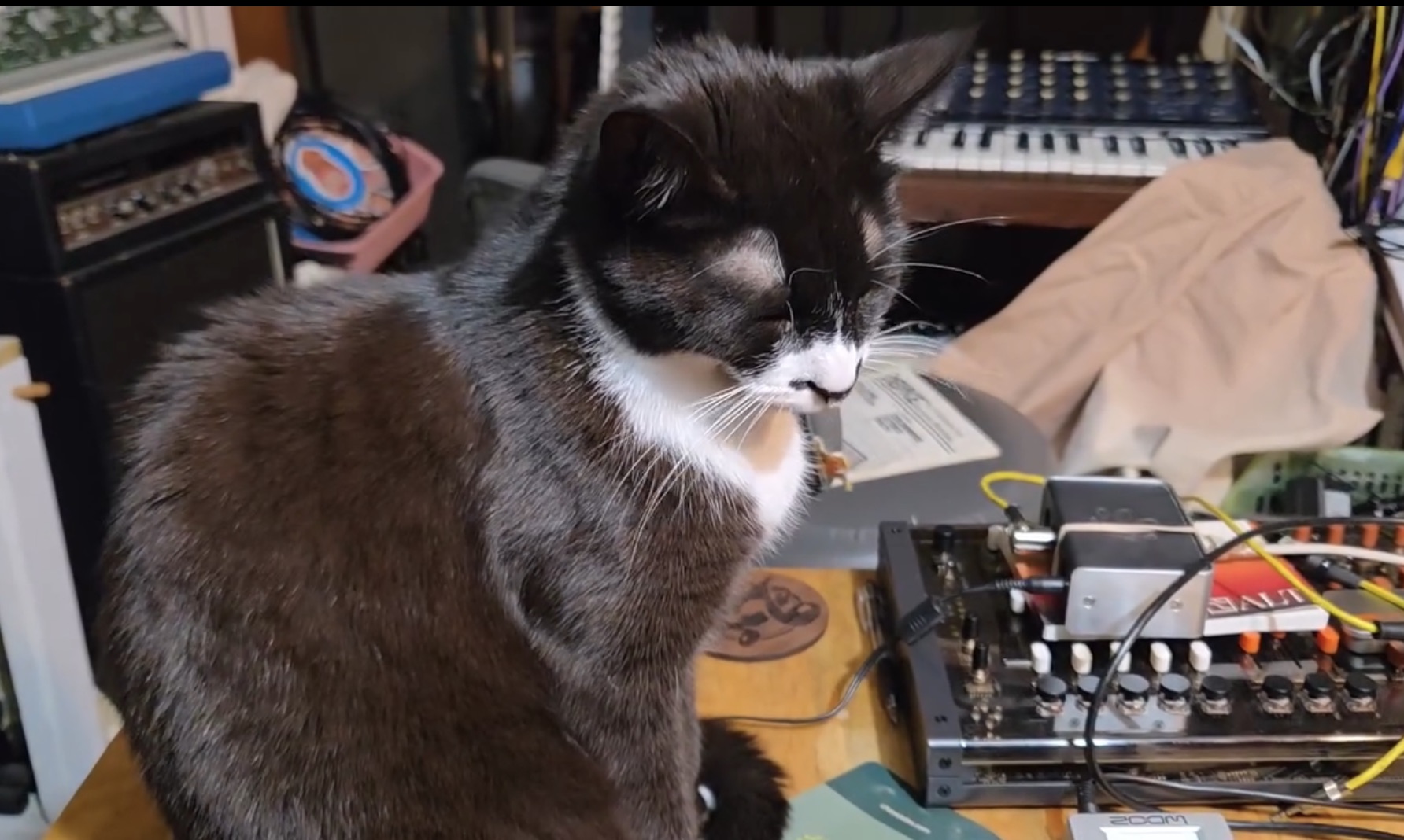 Grady with Lost + Found pedal and Les Paul