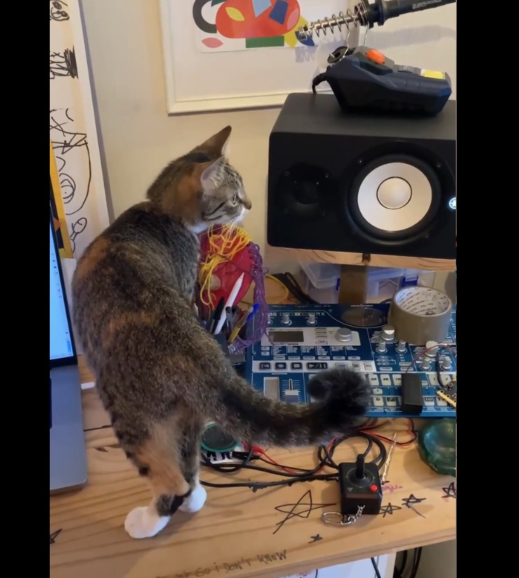 Billie and waveform experiments