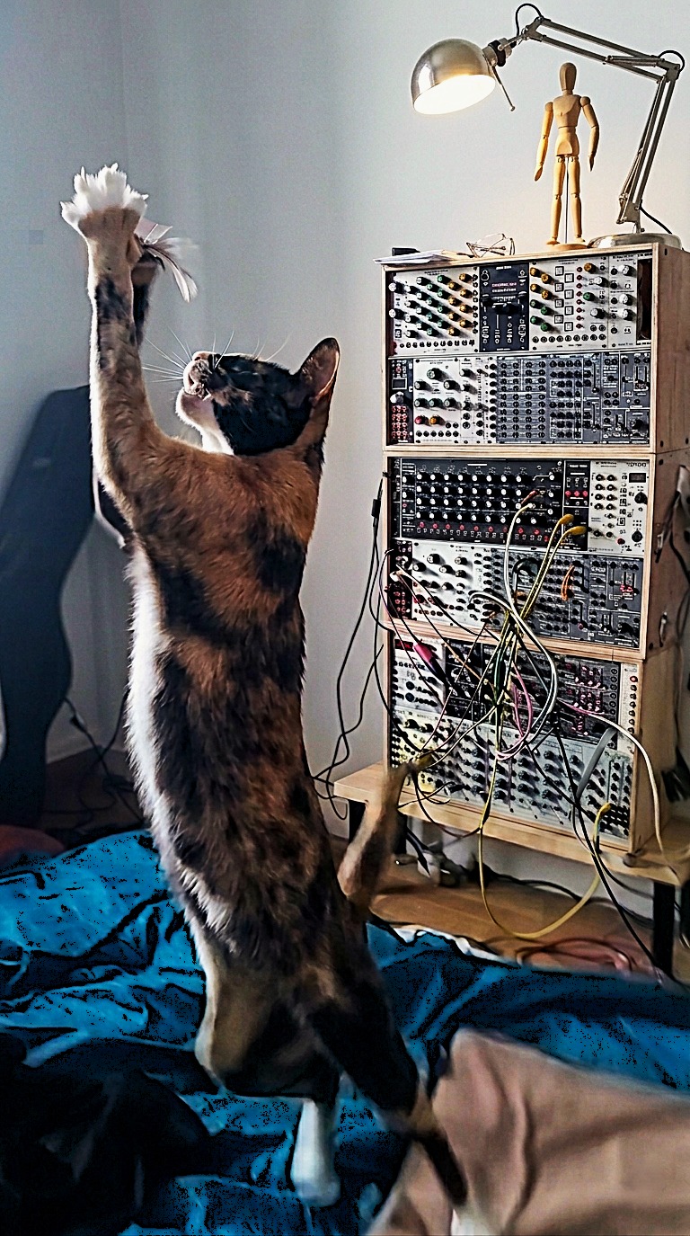 Juanita and Eurorack Modular