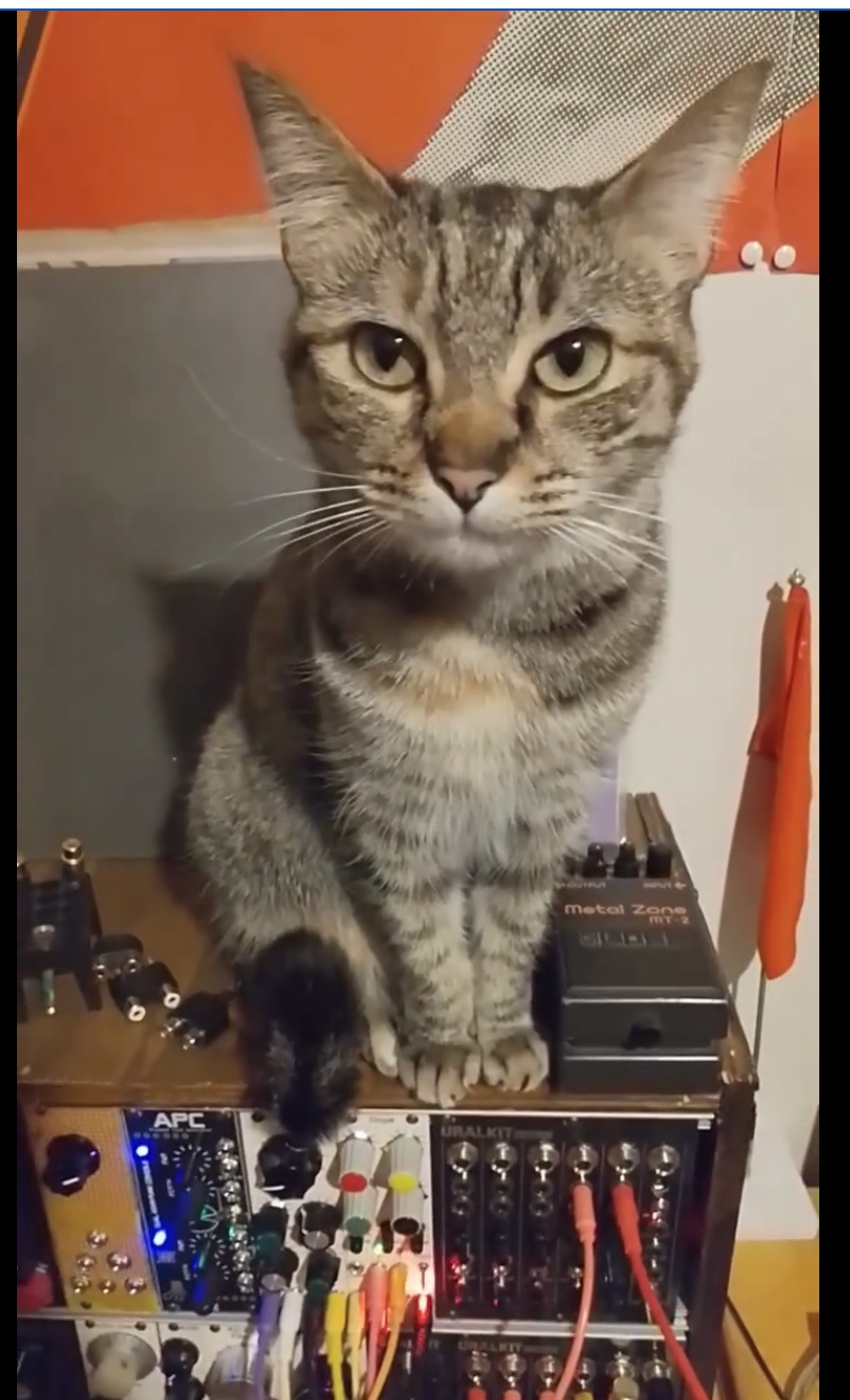 Pöpö, MICO-S sequencer, and Modular