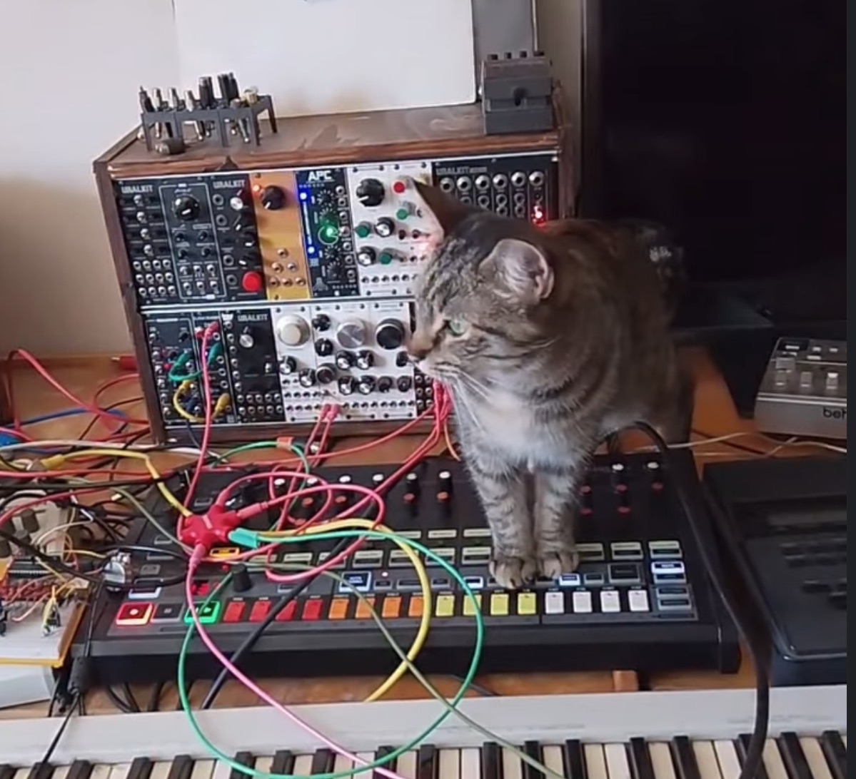 Pöpö, 8-bit oscillator, and more