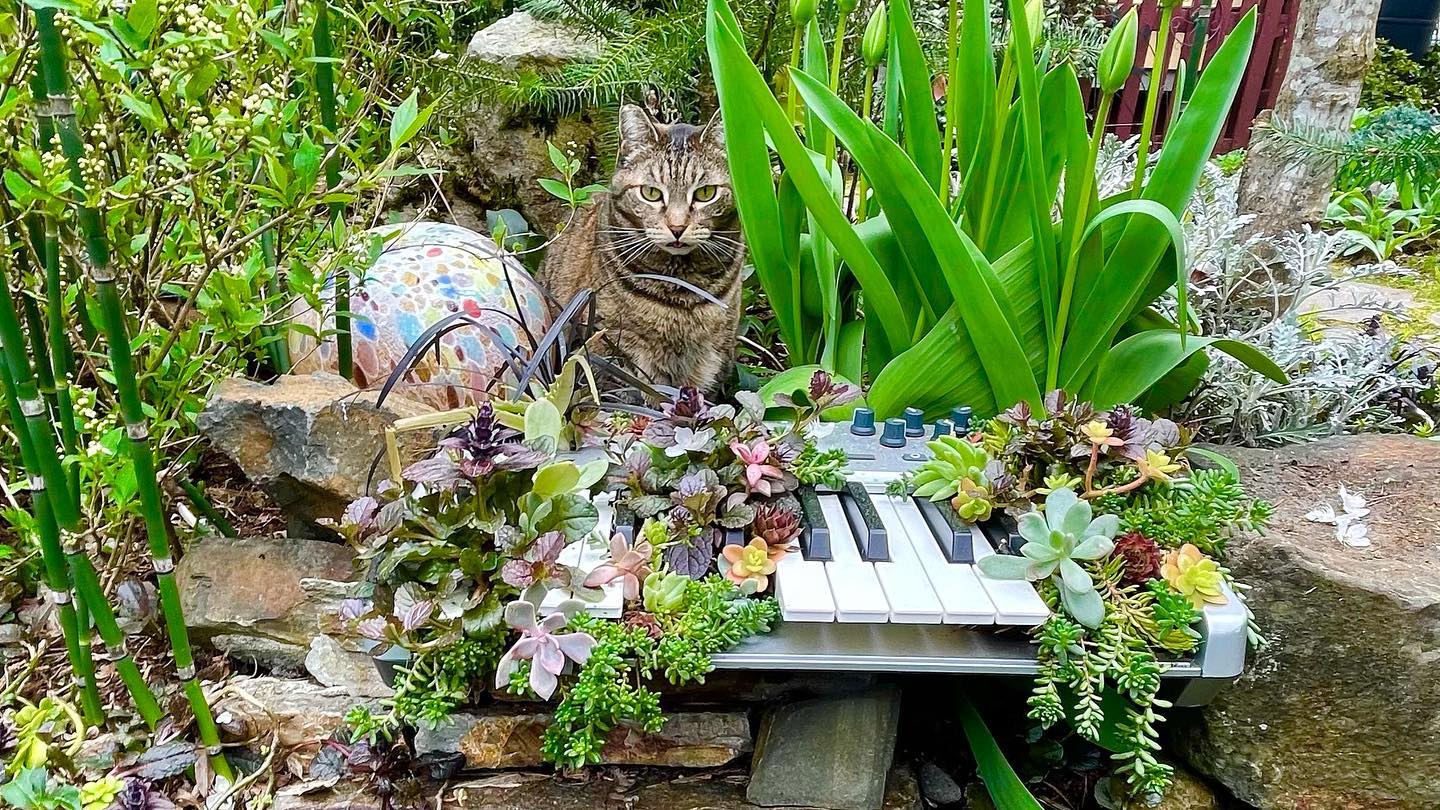 Felicia and Garden Keyboard