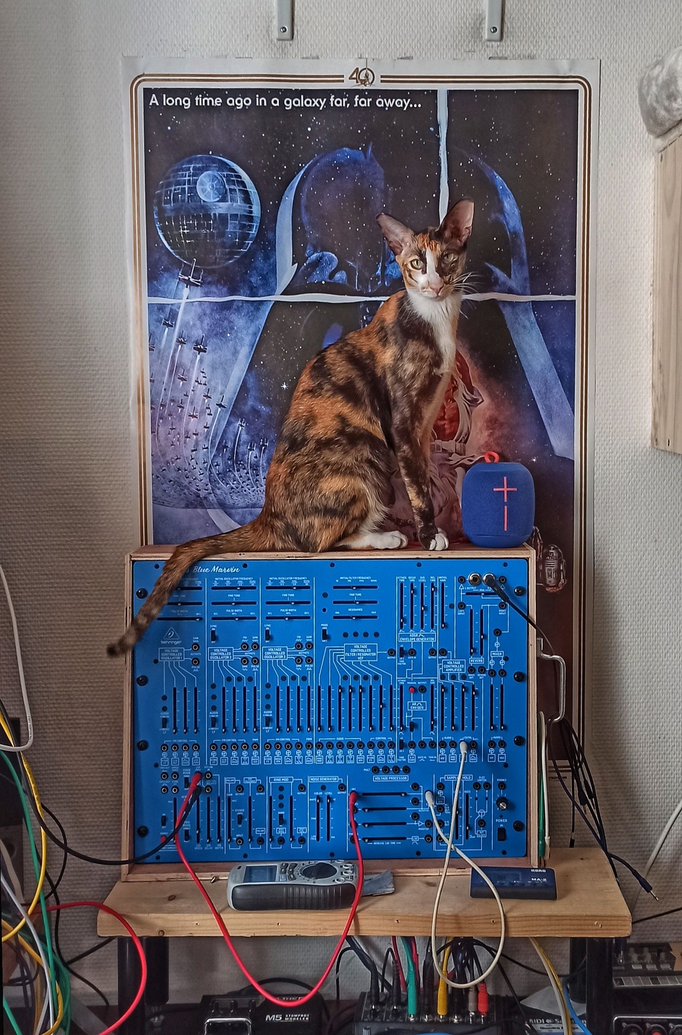 Cats Archives - CatSynth