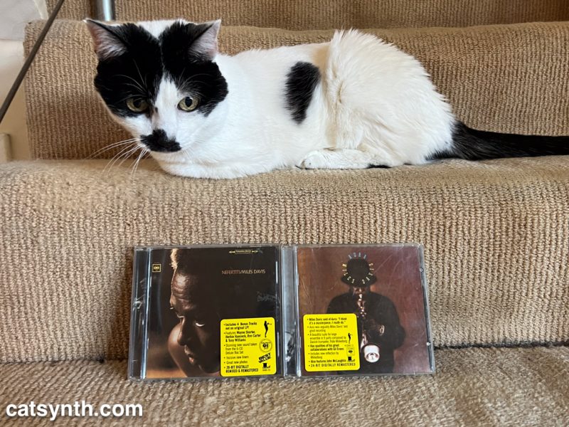 Black and white cat posing with two Miles Davis albums, Mayisha and Aura.