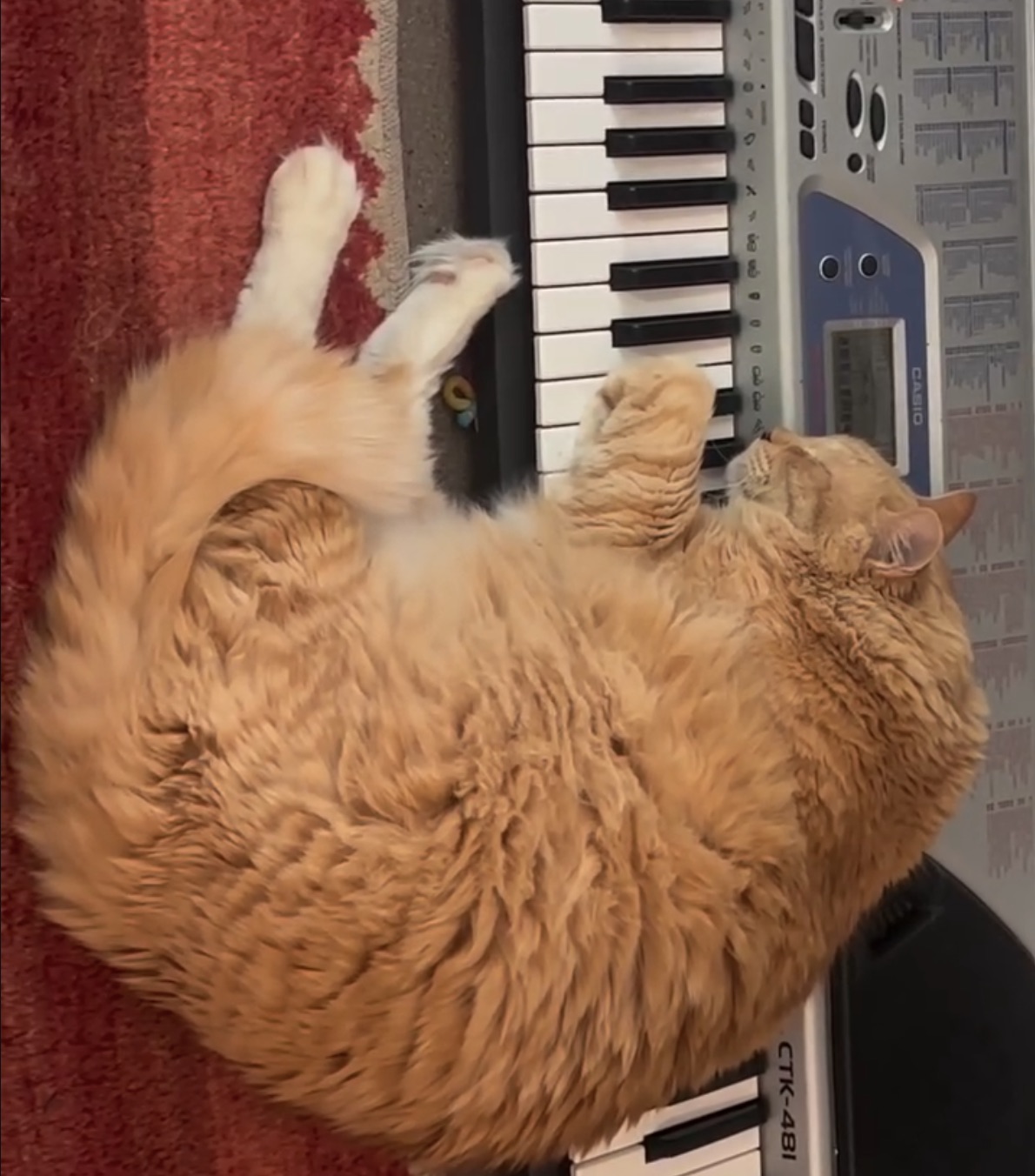 George’s Casio “Breathing Song”