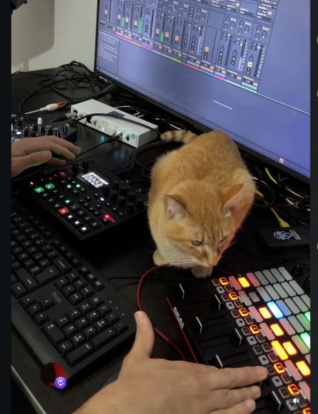 Orange cat sitting on a desk with an Elektron Digitakt drum + synth, an AKAI APC40 beat machine, and Ableton Live