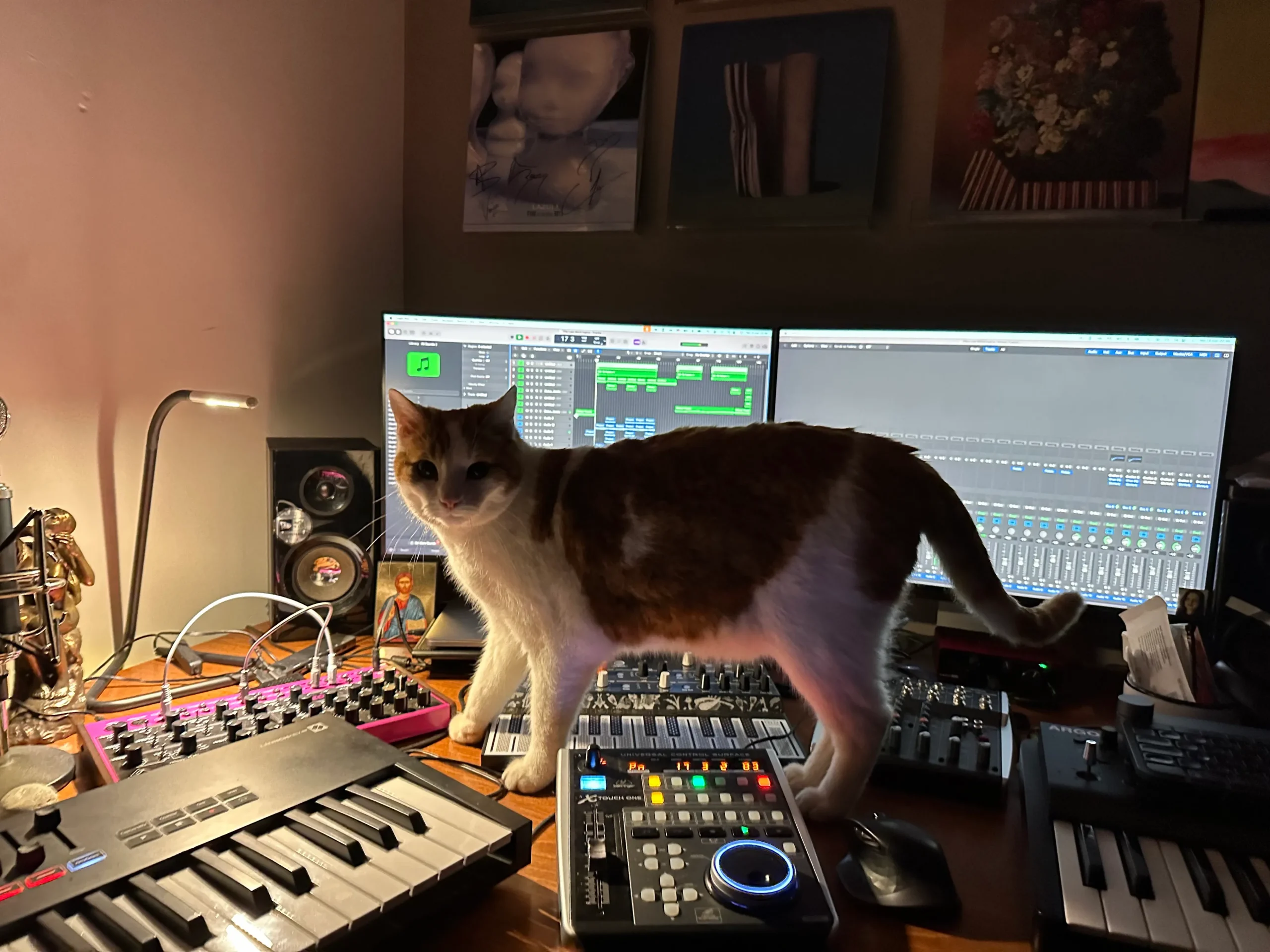 Fritzie with Logic, Behringer, Arturia, Modal, more