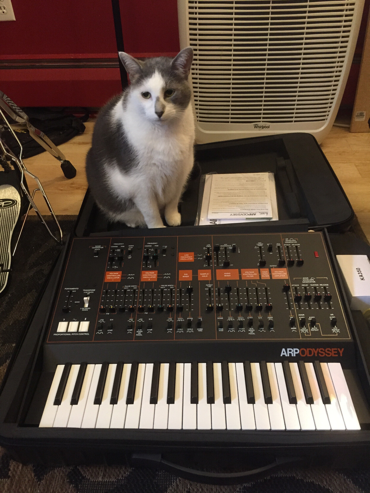 Tiberius, Beatrix, ARP Odyssey, Korg PolySix
