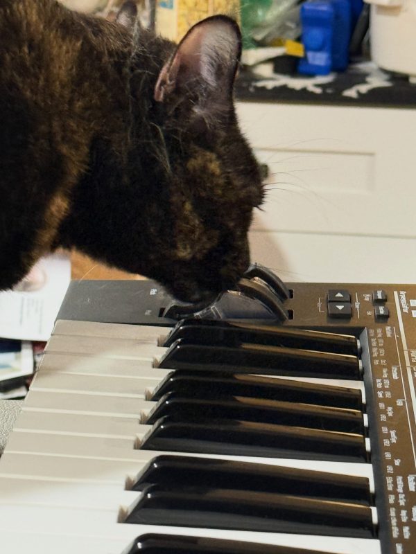 Calico cat nudging the mod wheels of a synthesizer keyboard