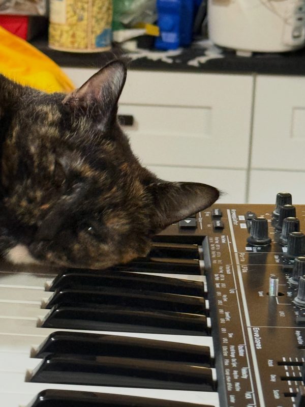Calico cat leaning on the keys of a synthesizer keyboard