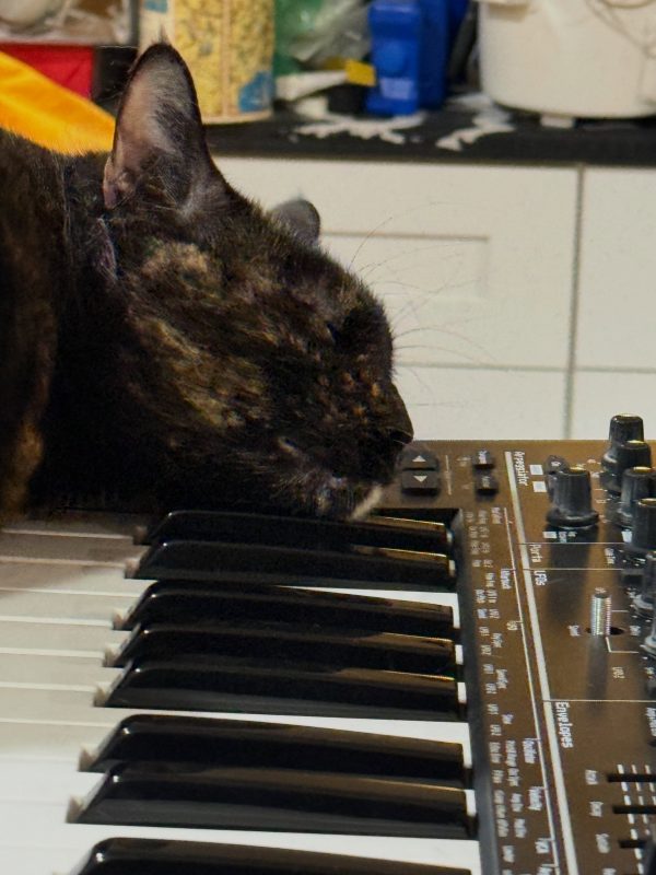 Calico cat leaning on the pitch and mod wheels of a synthesizer keyboard