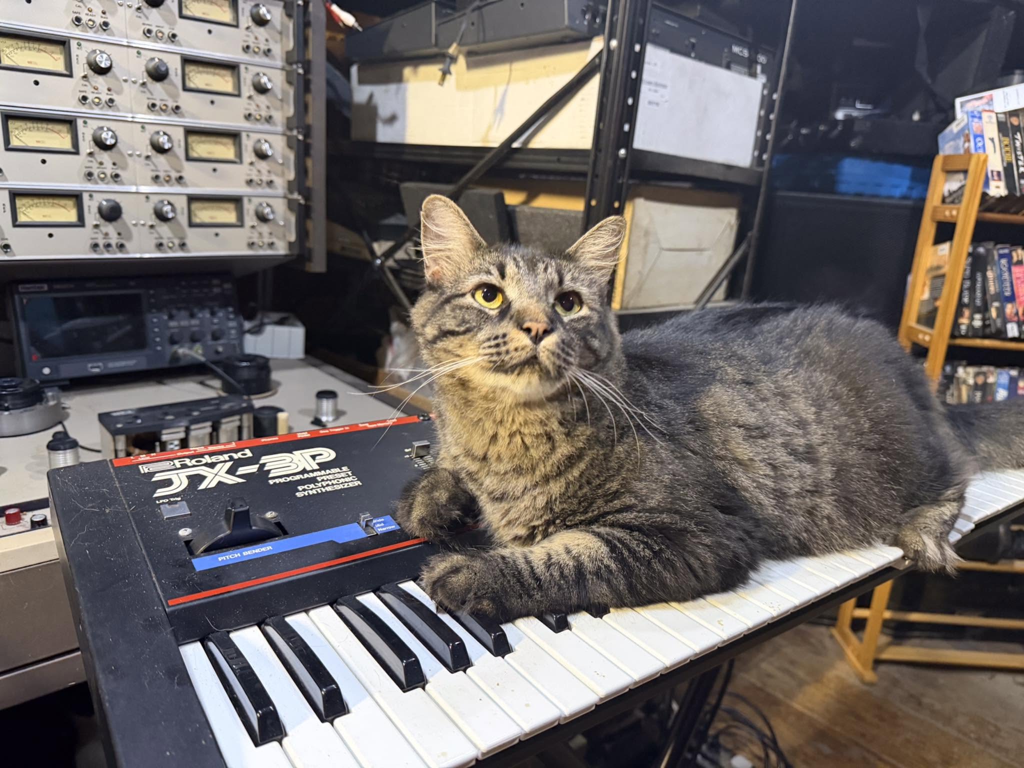 Parker and Roland JX-3P