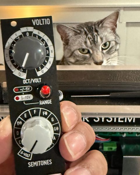 Tabby cat Haku looking from behind a modular case, as someone holds a synth module in front with two dials