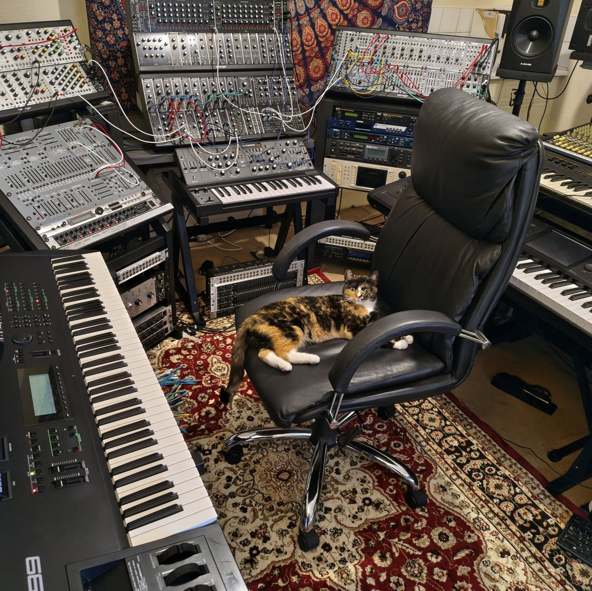 Kat, Yamaha SY99, Behringer modular systems