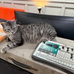 Tabby cat next to a Korg Electribe synth