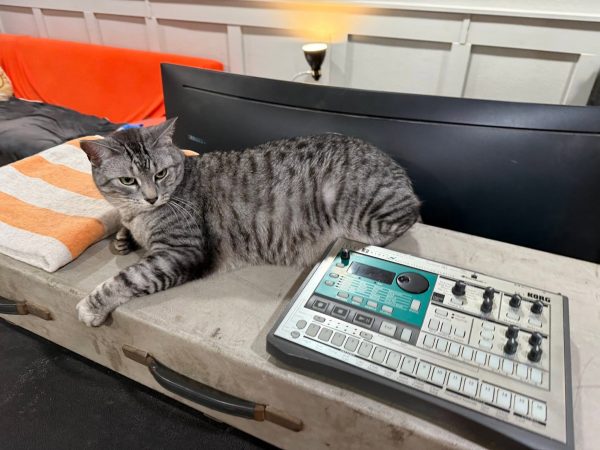 Tabby cat next to a Korg Electribe synth