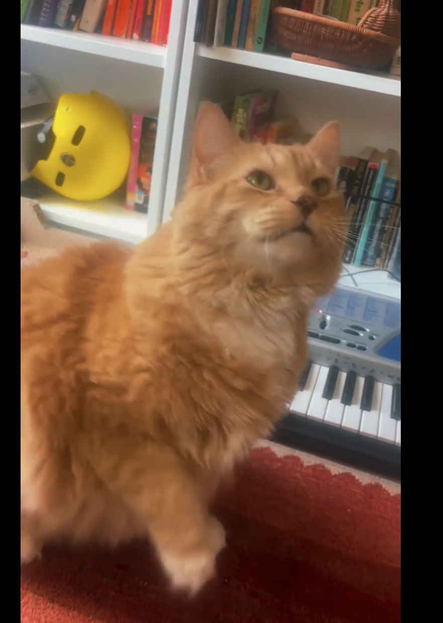 George loves his Casio… and treats