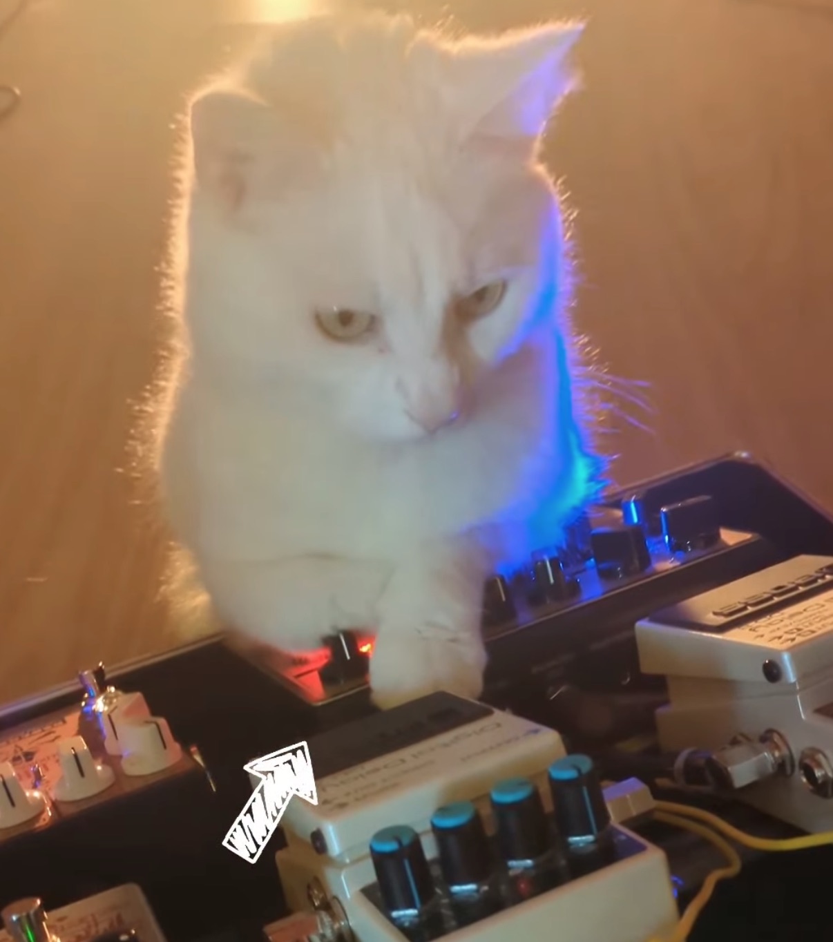 Yivi plays guitar pedals