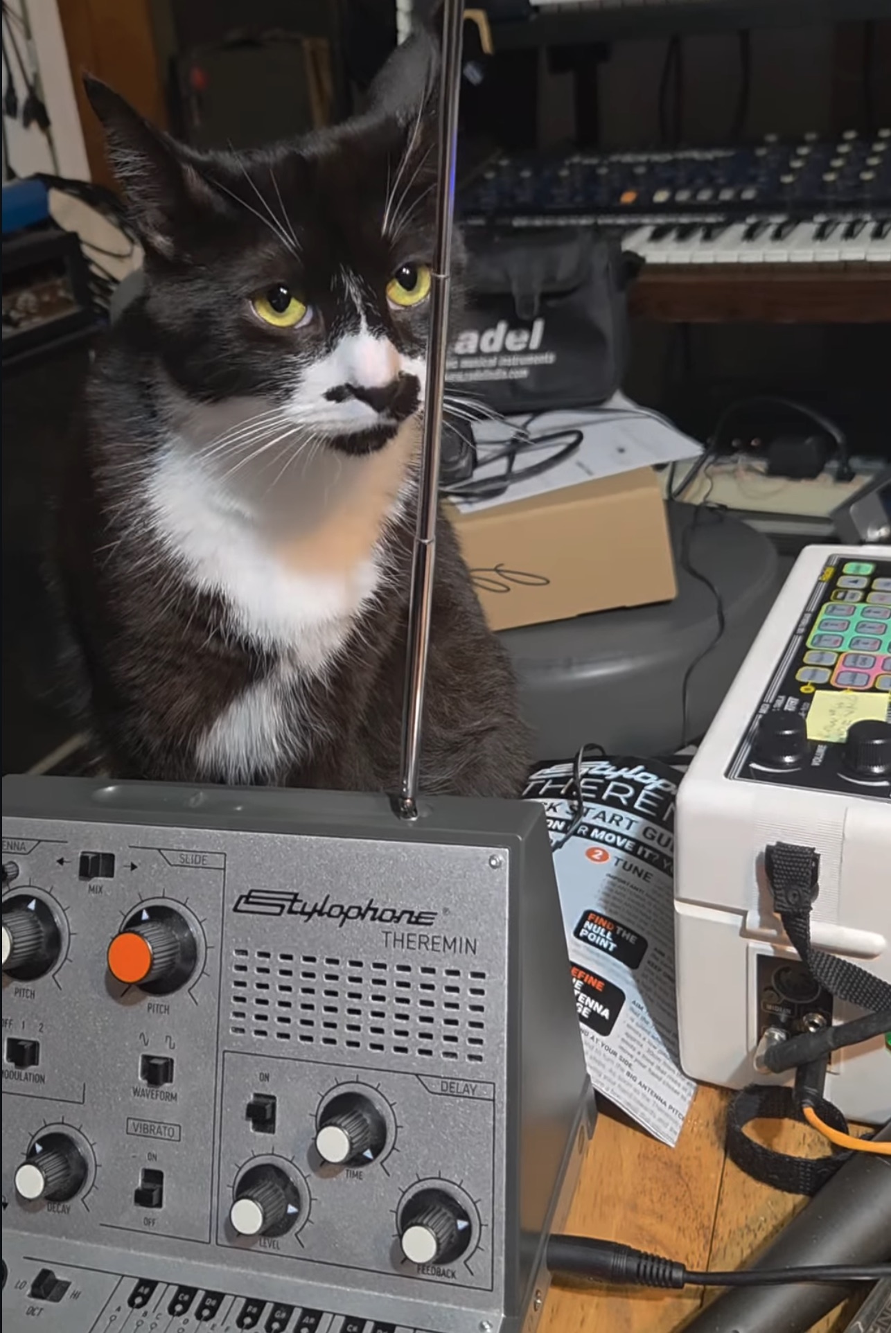 Grady plays the Stylophone Theremin