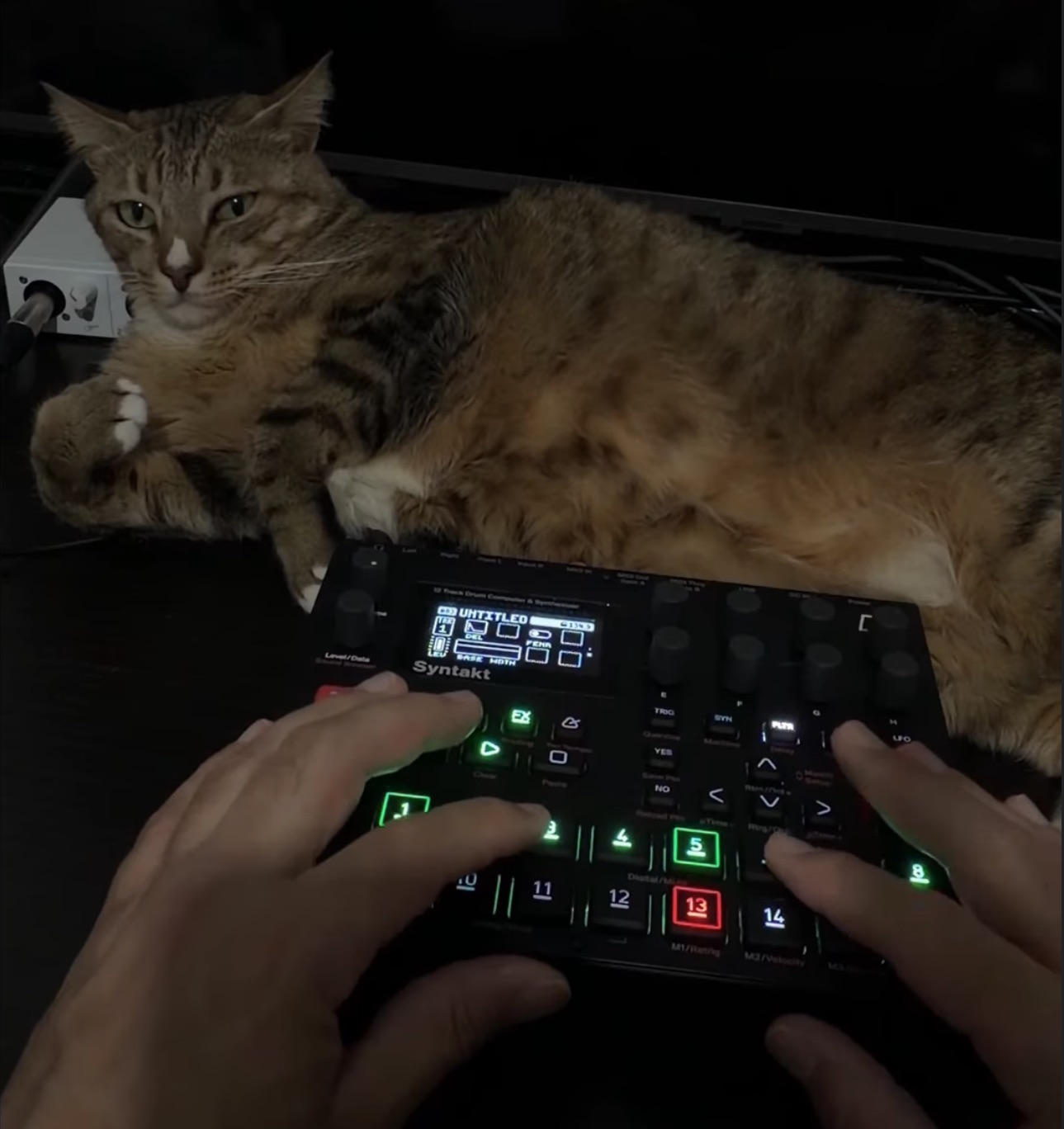 Ozzy and Elektron Syntakt