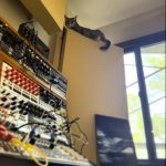 Cat sitting on top of a bass trap next to a large modular synthesizer system.