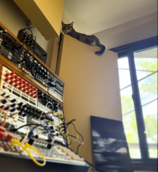 Cat sitting on top of a bass trap next to a large modular synthesizer system.