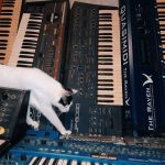 Black and white cat walking among keyboard synthesizers piled horizontally and vertically