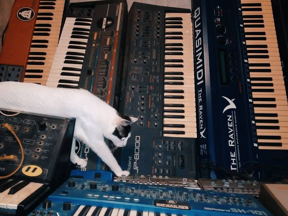 Tico with Roland, Nord, Korg, Quasimidi