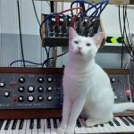 White cat sitting on top of a Minimoog synthesizer.