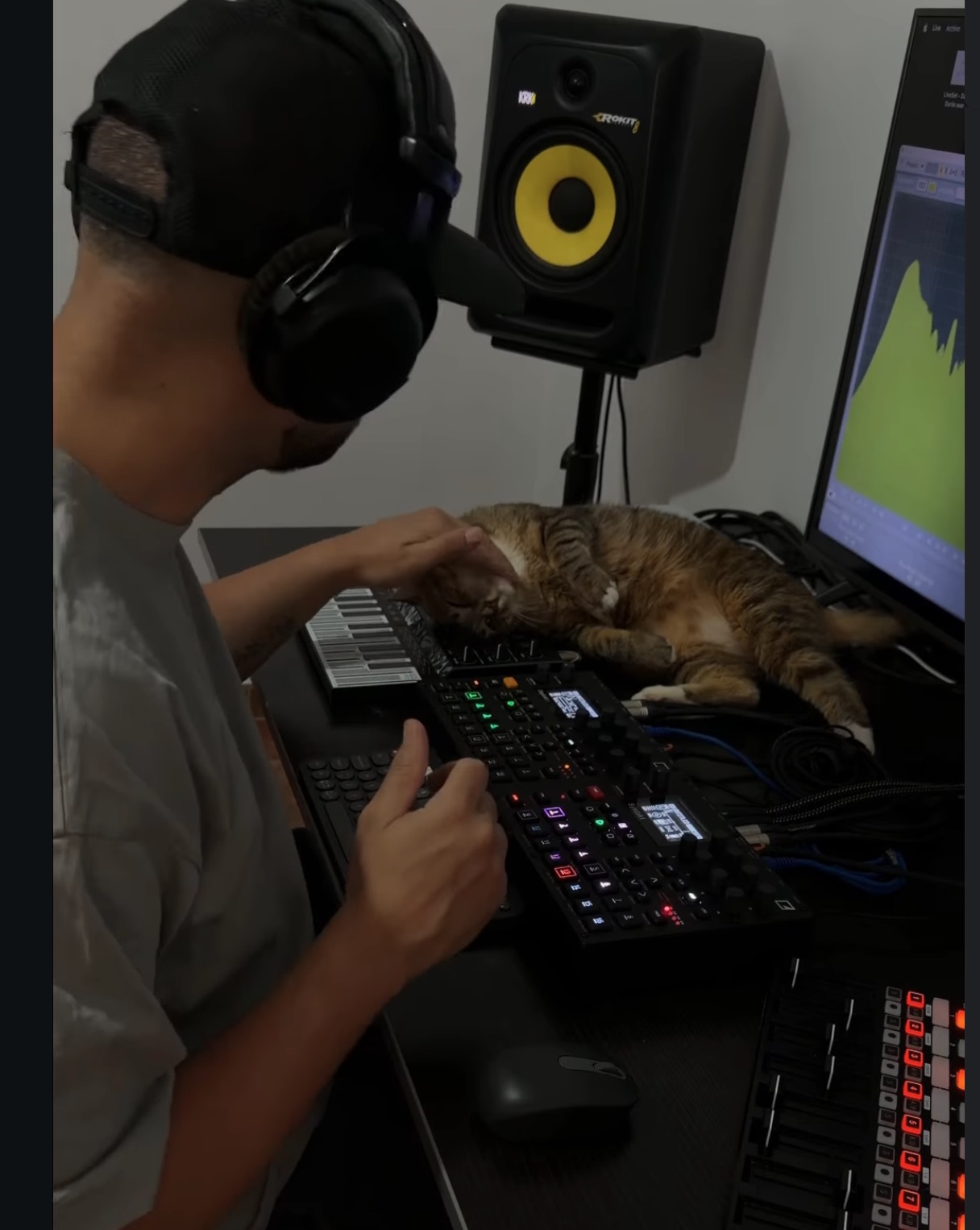 Ozzy with Microfreak, Elektron boxes, AKAI MPC40