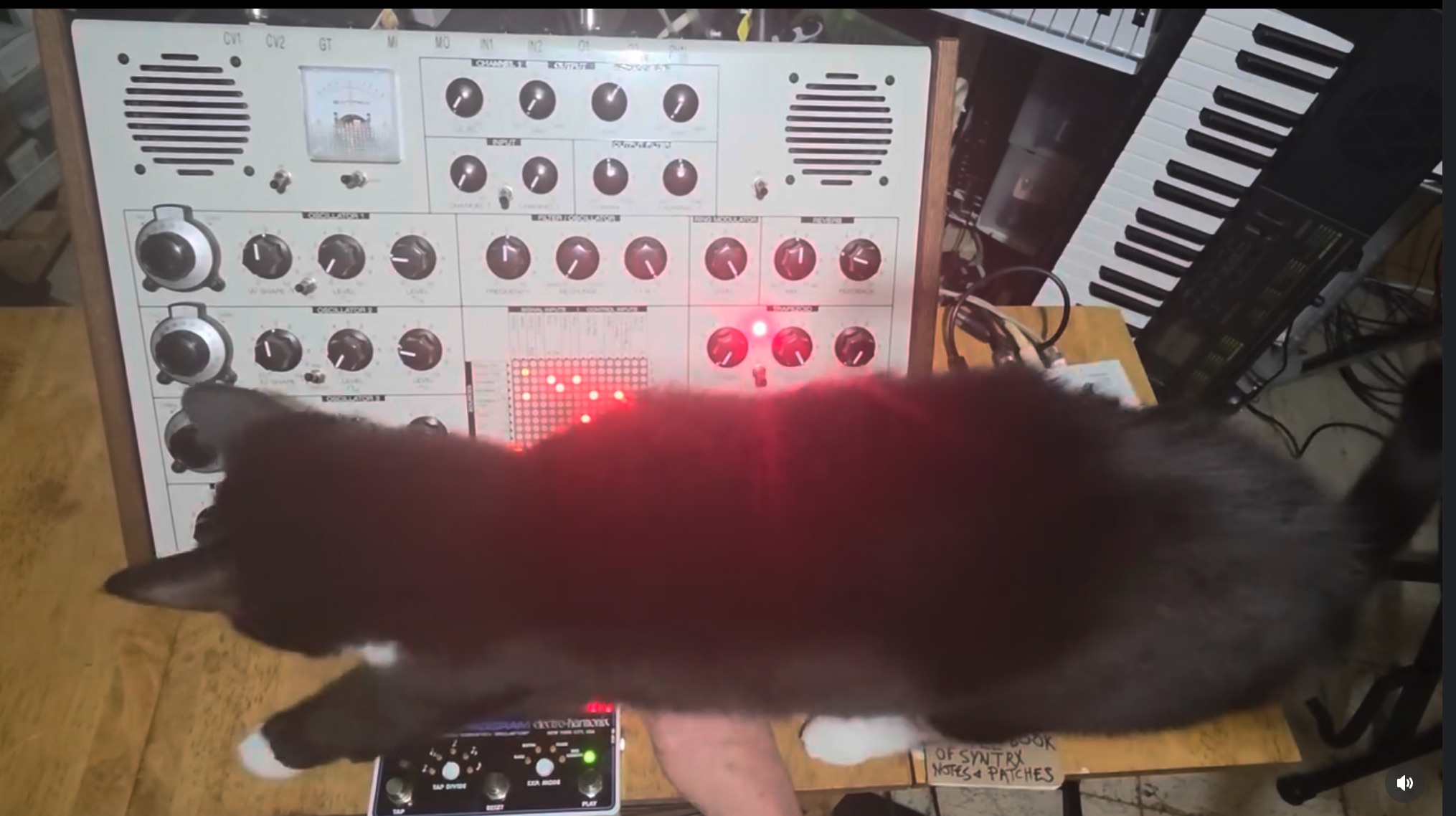 Grady, Erica Synths Syntrx, EHX 8 Step Program