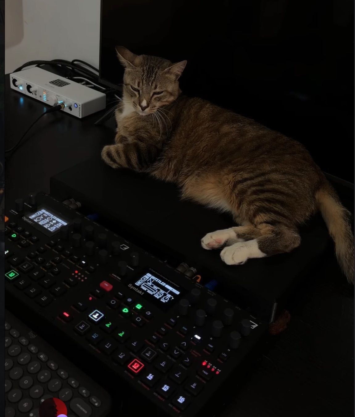 Ozzy’s new platform (and Elektron boxes)