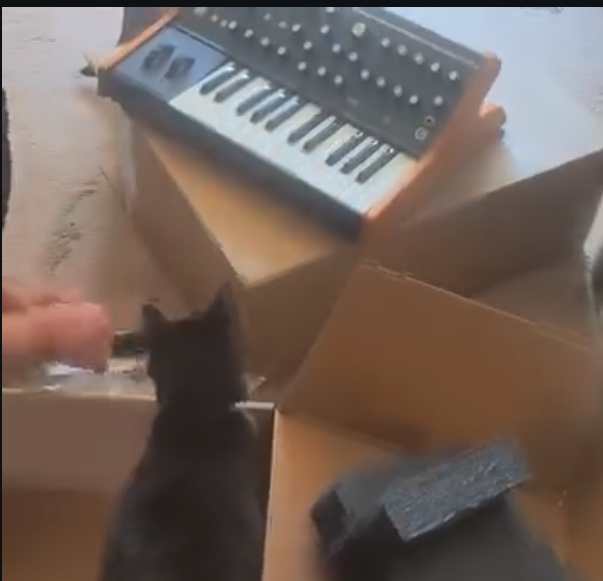 Moog Subsequent 25 unboxing